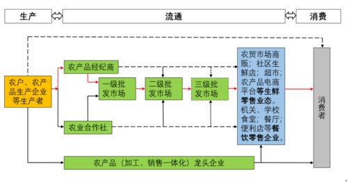 數智賦能 鏈通未來 我國生鮮農產品流通新趨勢及軟件開發展望